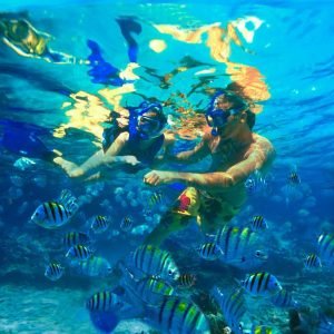 Grand Bahama Snorkeling Tour
