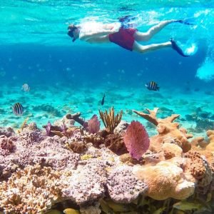 Grand Bahama Blue Hole Snorkel 5 Hour Tour