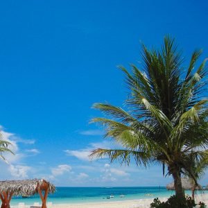 Viva Wyndham Fortuna Beach Resort Day Pass