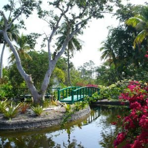 Garden of the Groves and City Tour