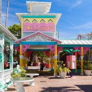 Cruise Shore Excursion